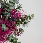 Photo by Dominyka Ambrozeviciute 1 22413 scaled