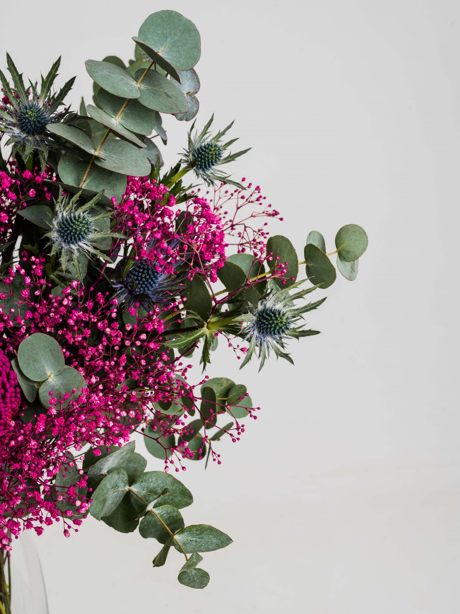 Photo by Dominyka Ambrozeviciute 1 22397 scaled Photo by Dominyka Ambrozeviciute 1 22397 scaled