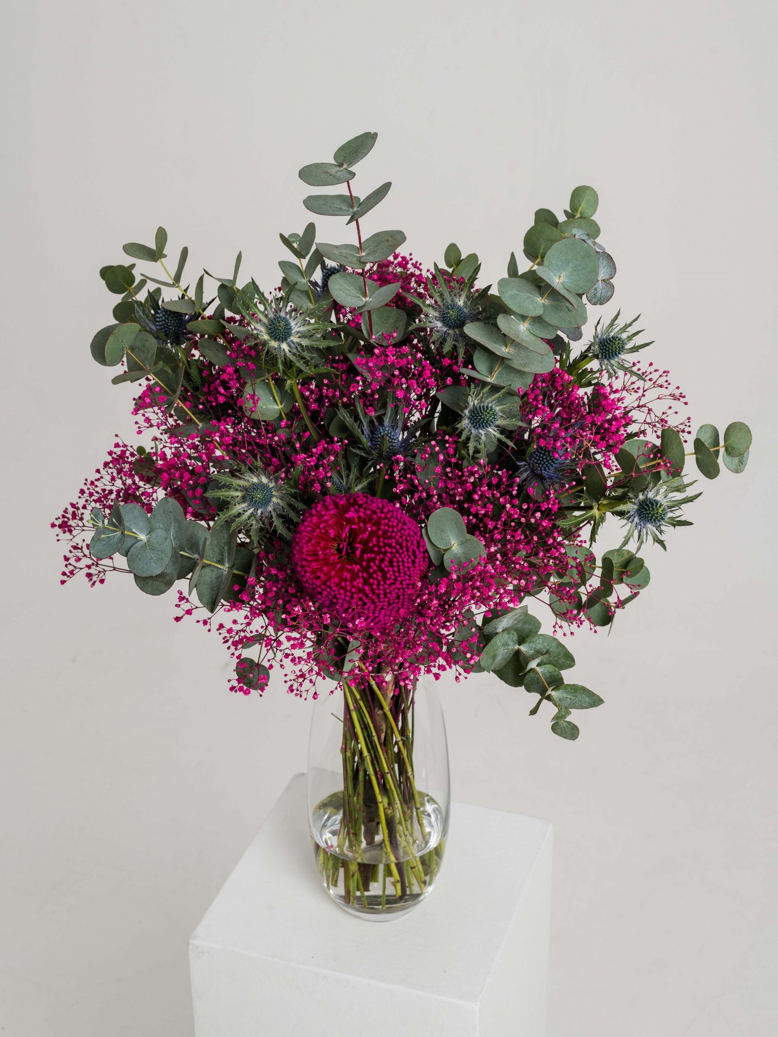 Photo by Dominyka Ambrozeviciute 1 22410 scaled geliu puokste linkejimai is australijos