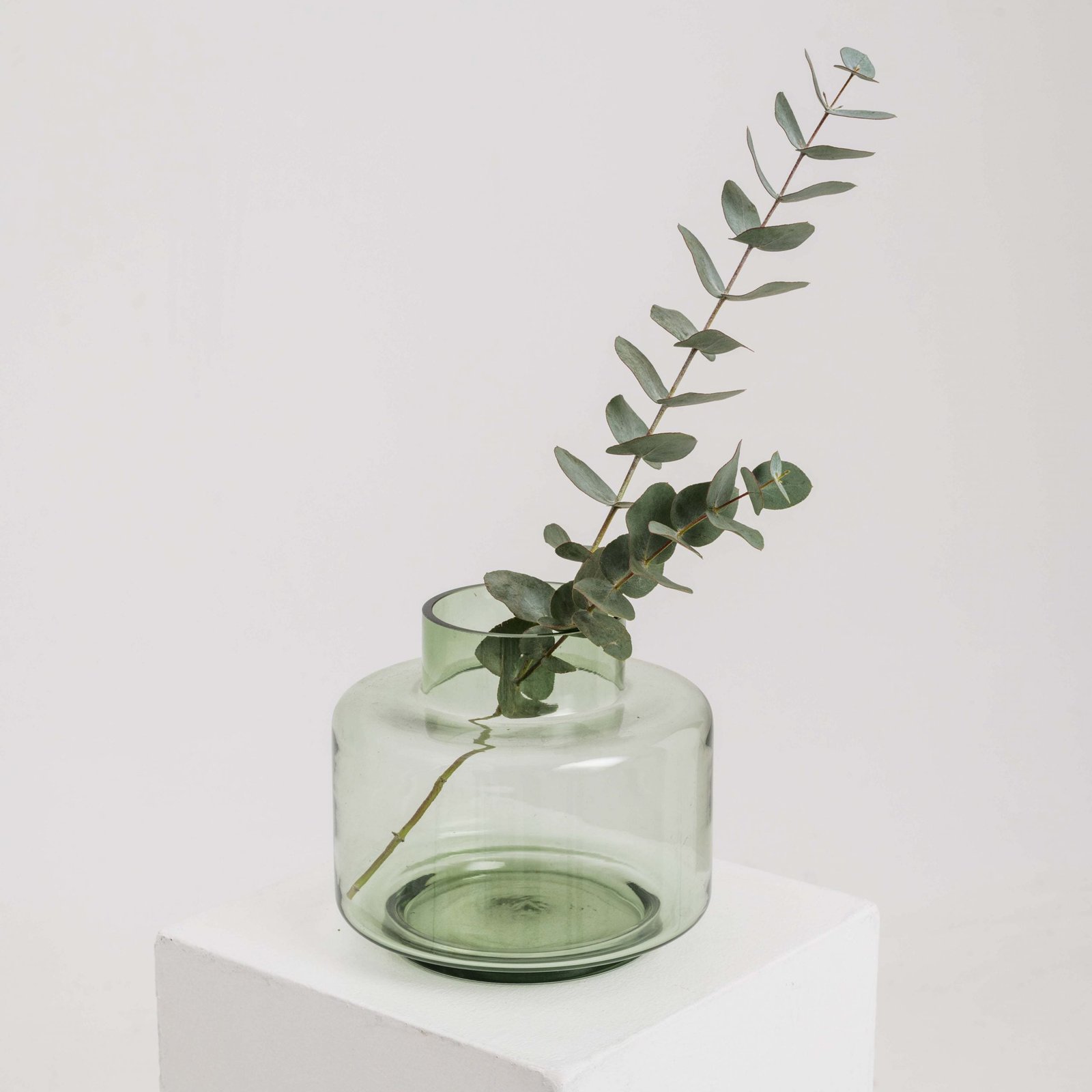 Photo by Dominyka Ambrozeviciute 1 22978 scaled