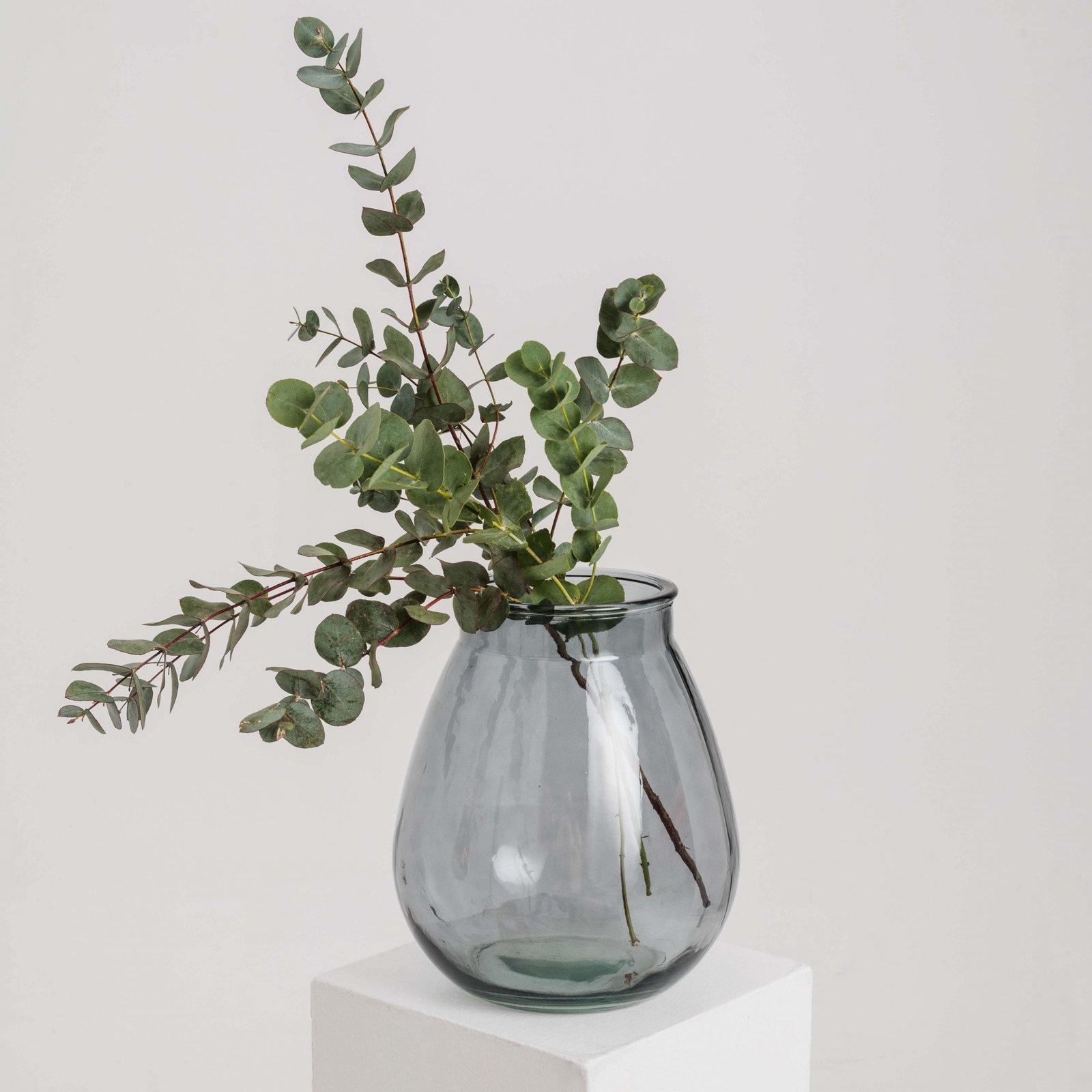 Photo by Dominyka Ambrozeviciute 1 23010 scaled Photo by Dominyka Ambrozeviciute 1 23010 scaled