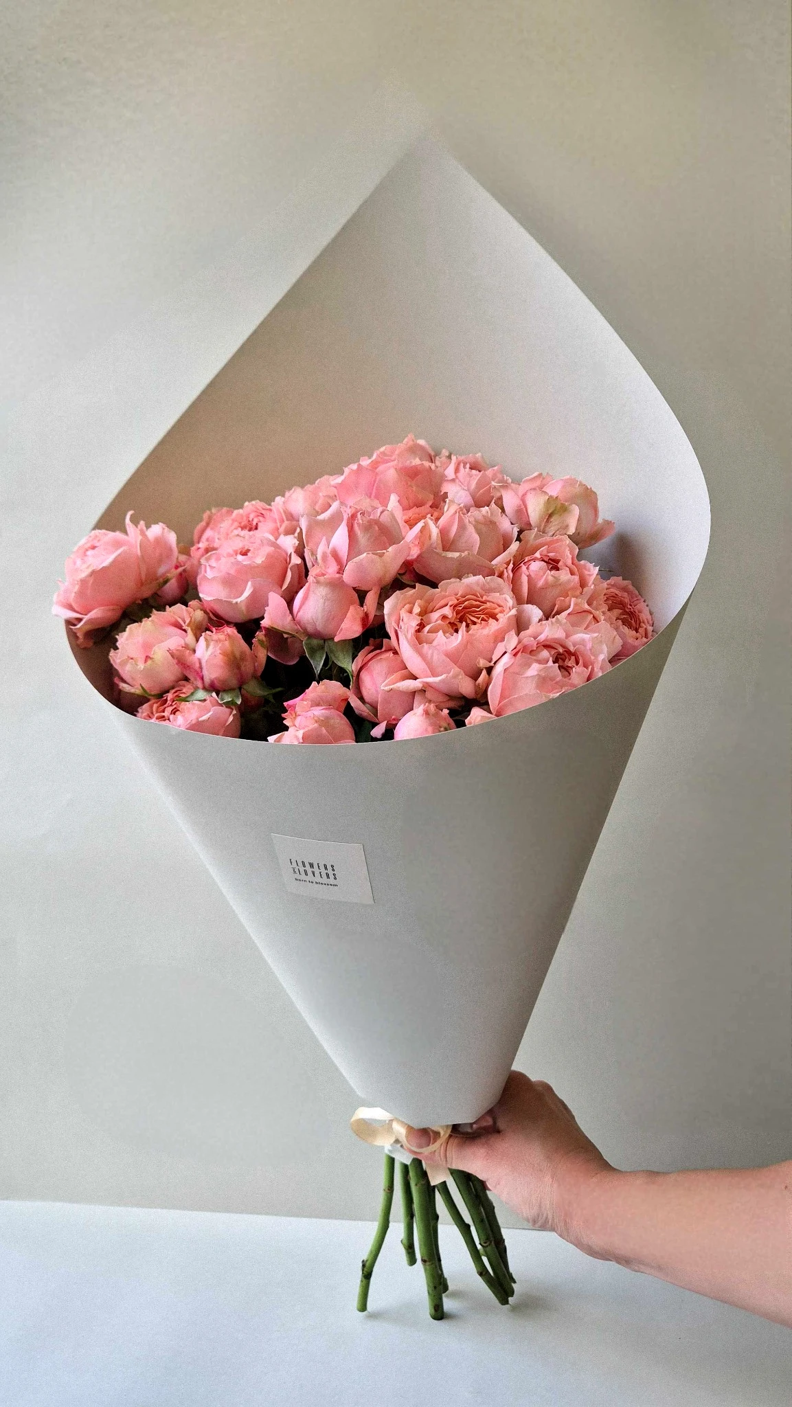 bijunines rozes bijunines rozes